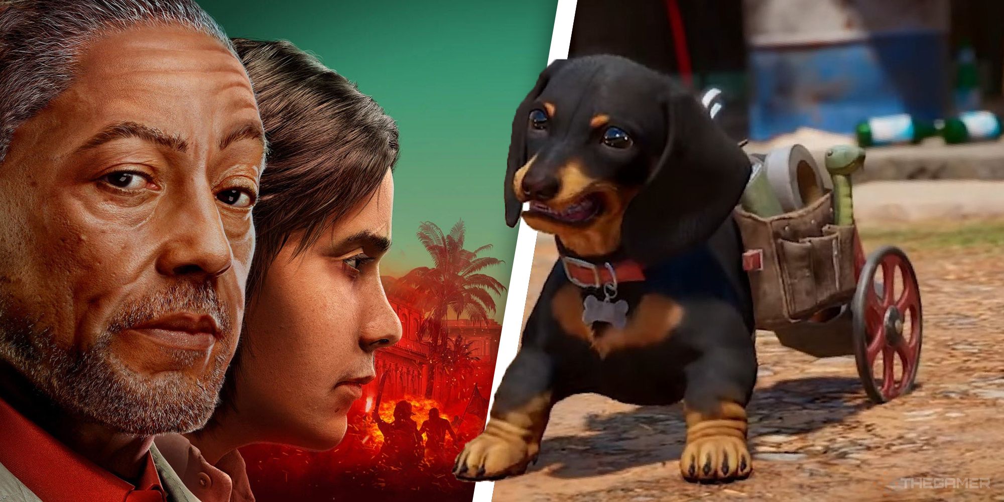 The Best Animal Companions in Far Cry 6