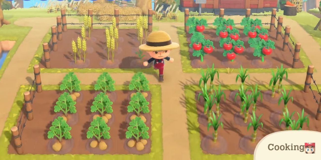 Animal Crossing New Horizons villager outside with tomatoes carrots and crops