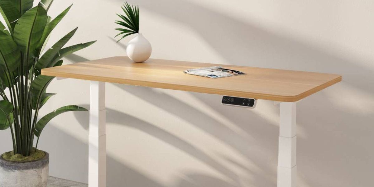 Flexispot Standing Desk Pro Series E7 Review Customisable Quality