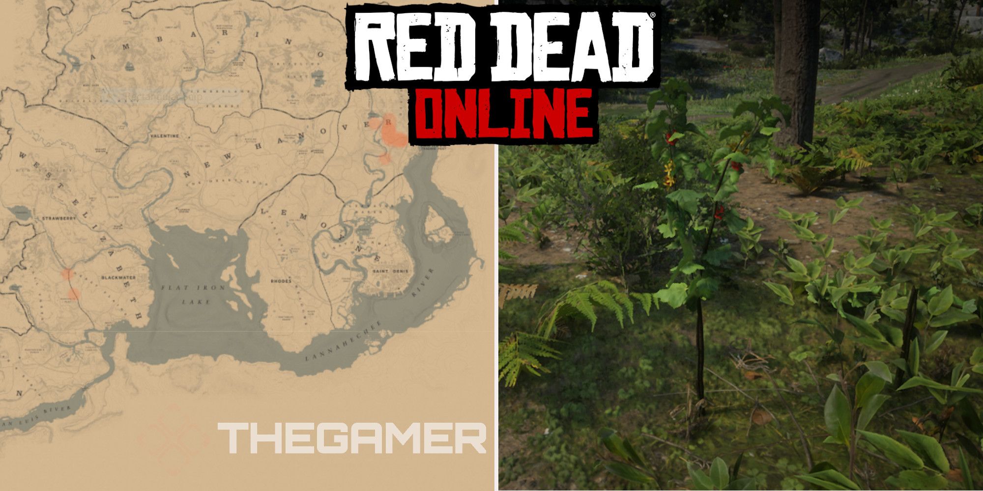 Red Online: Best Currant Gathering Locations