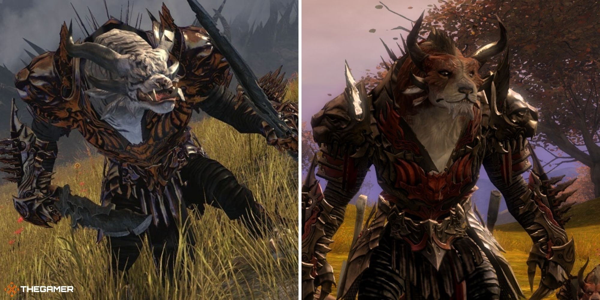 Guild Wars 2 - Screenshots of two male charr in-game