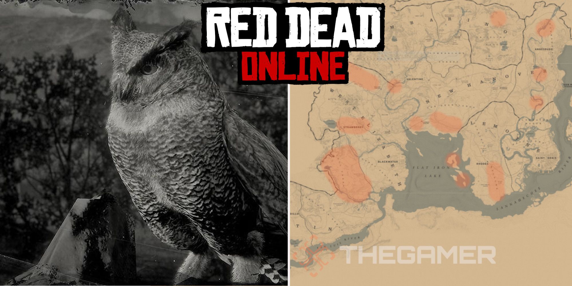 trekant Løve Kartofler Red Dead Online: Best Owl Locations
