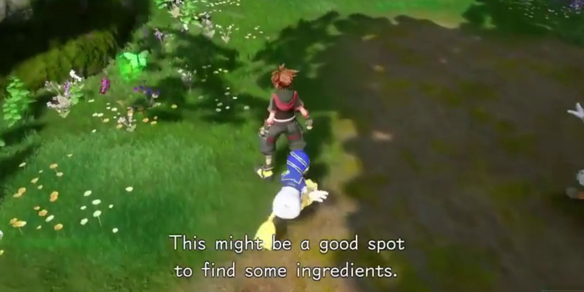 Kingdom-Hearts-3-Sora-Donald-Ingredients