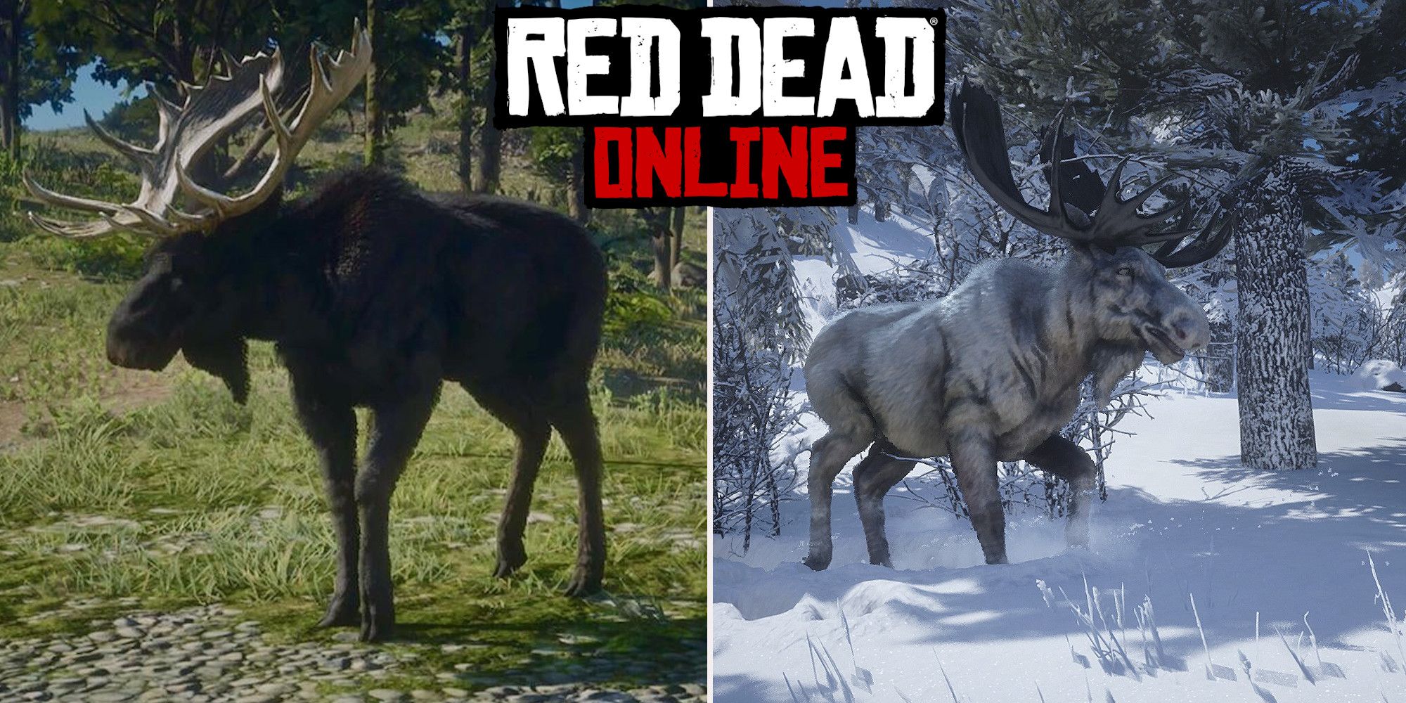 Red Dead Online: Moose Hunting