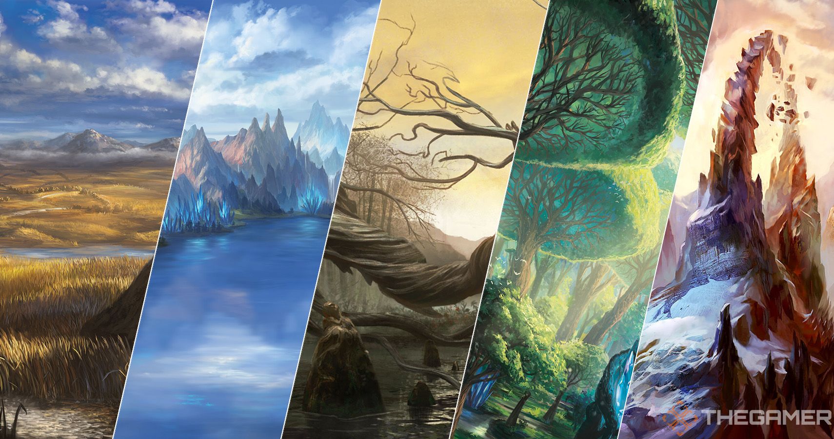 Magic The Gathering Color Differences