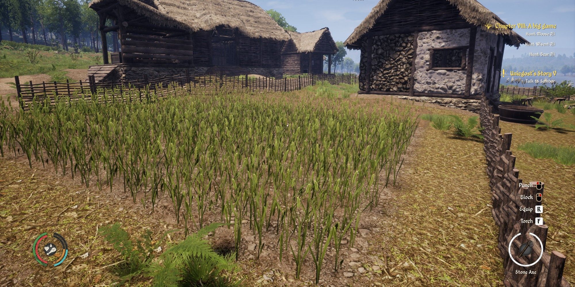 player looking towards small field with wheat growing
