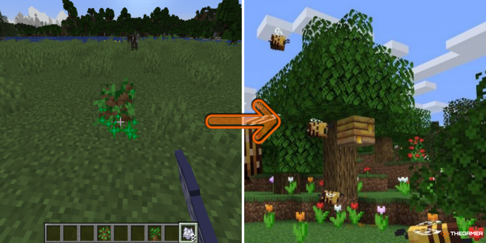 Minecraft - Sapling on left, Full-grown tree with a Bee Nest on right
