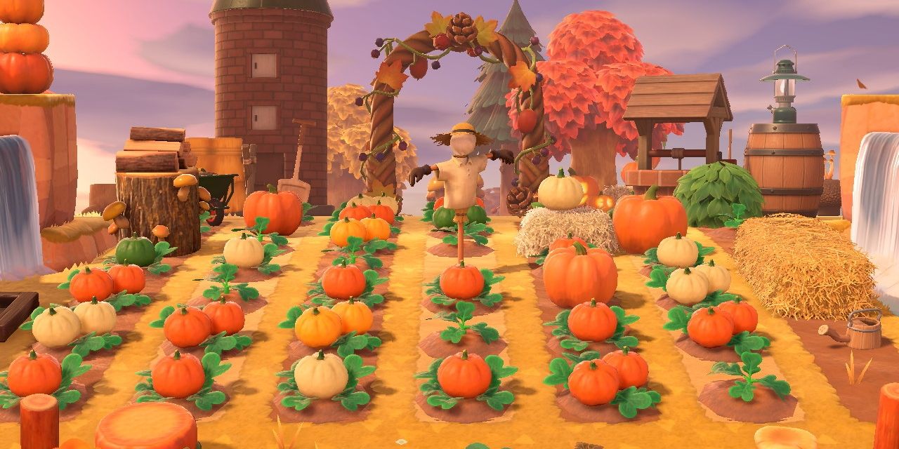 Pumpkin Patch Porn