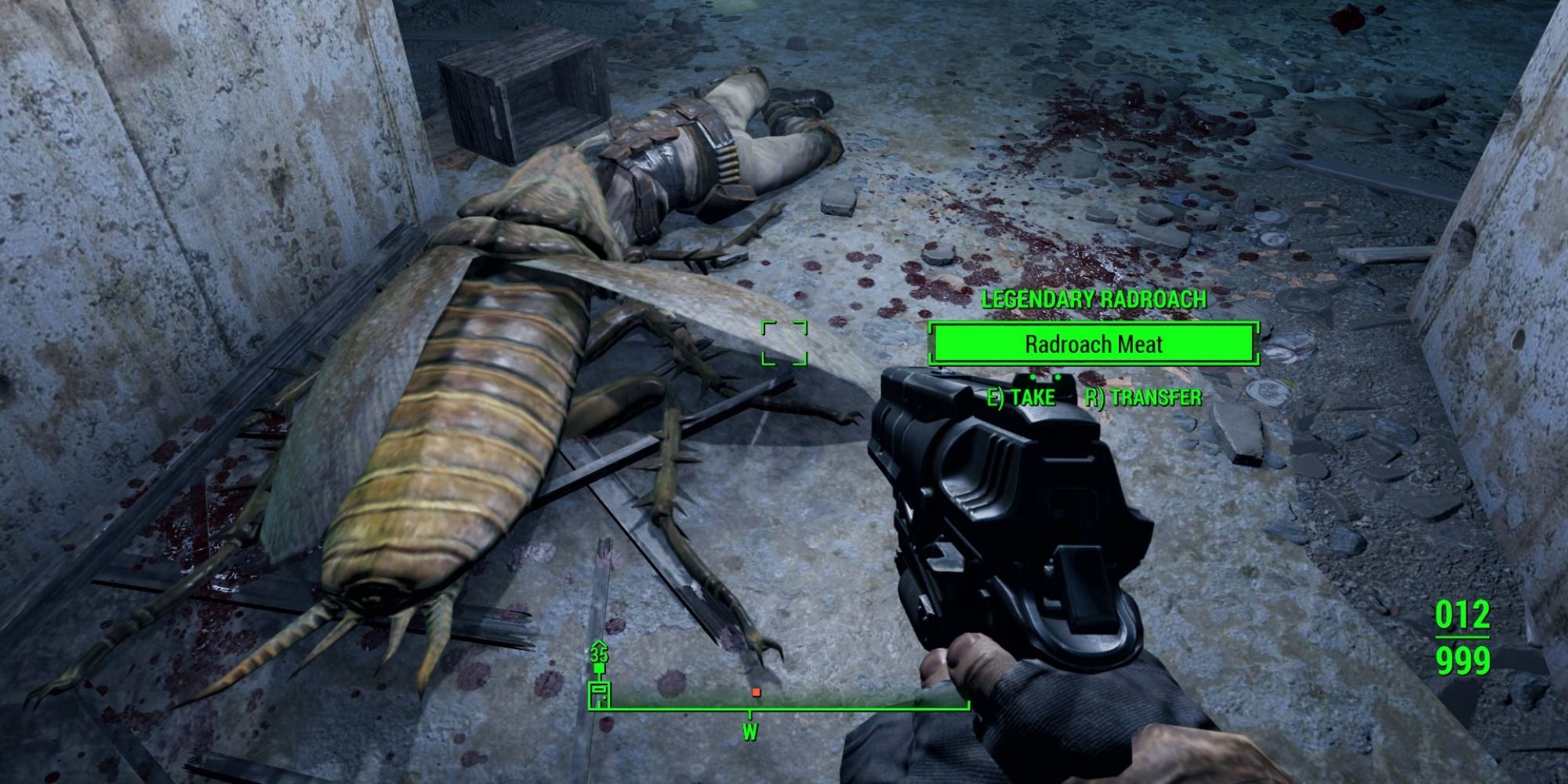 a massive dead Radroach being searched