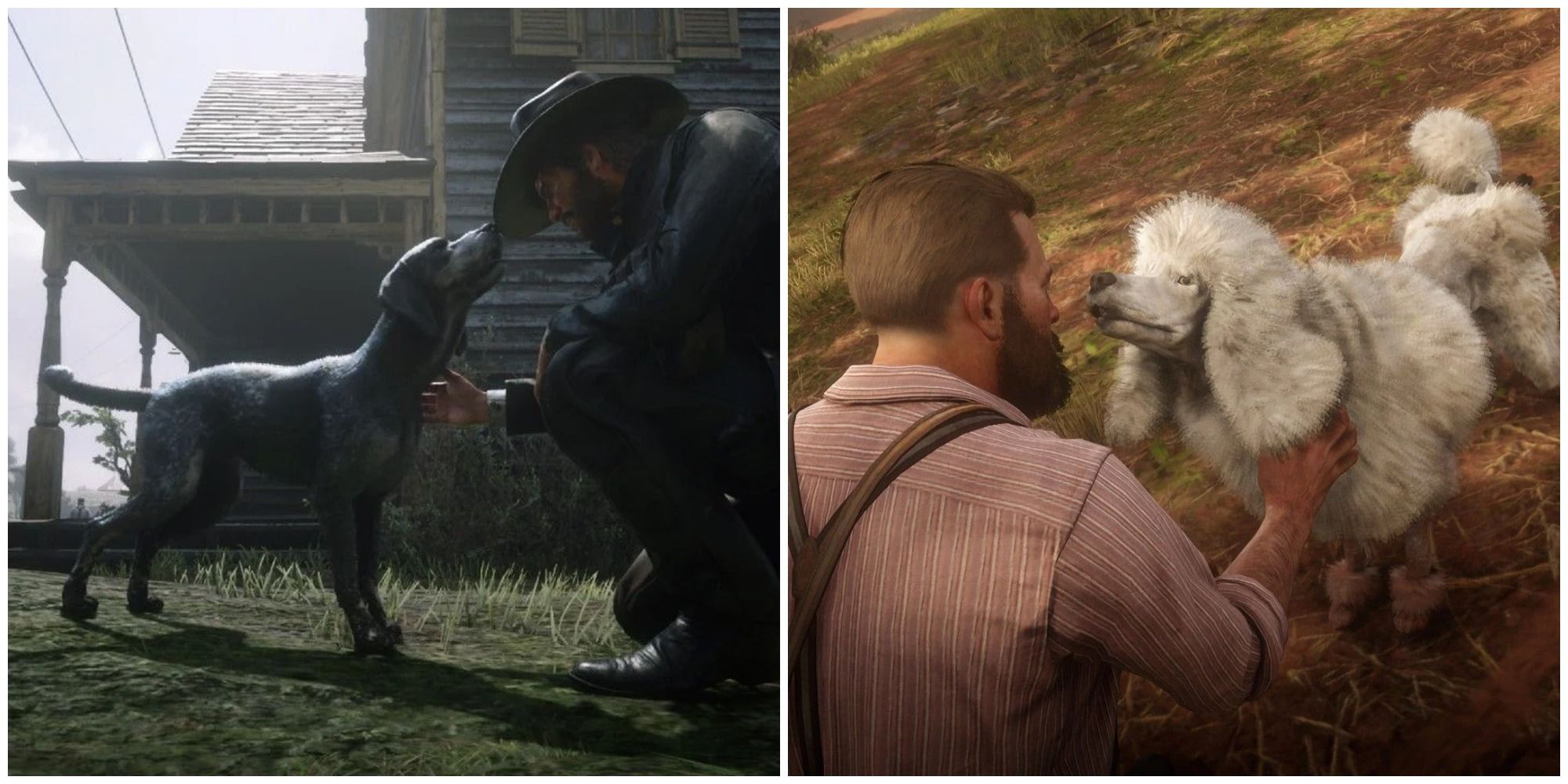 Red Dead Online Best Dog Locations