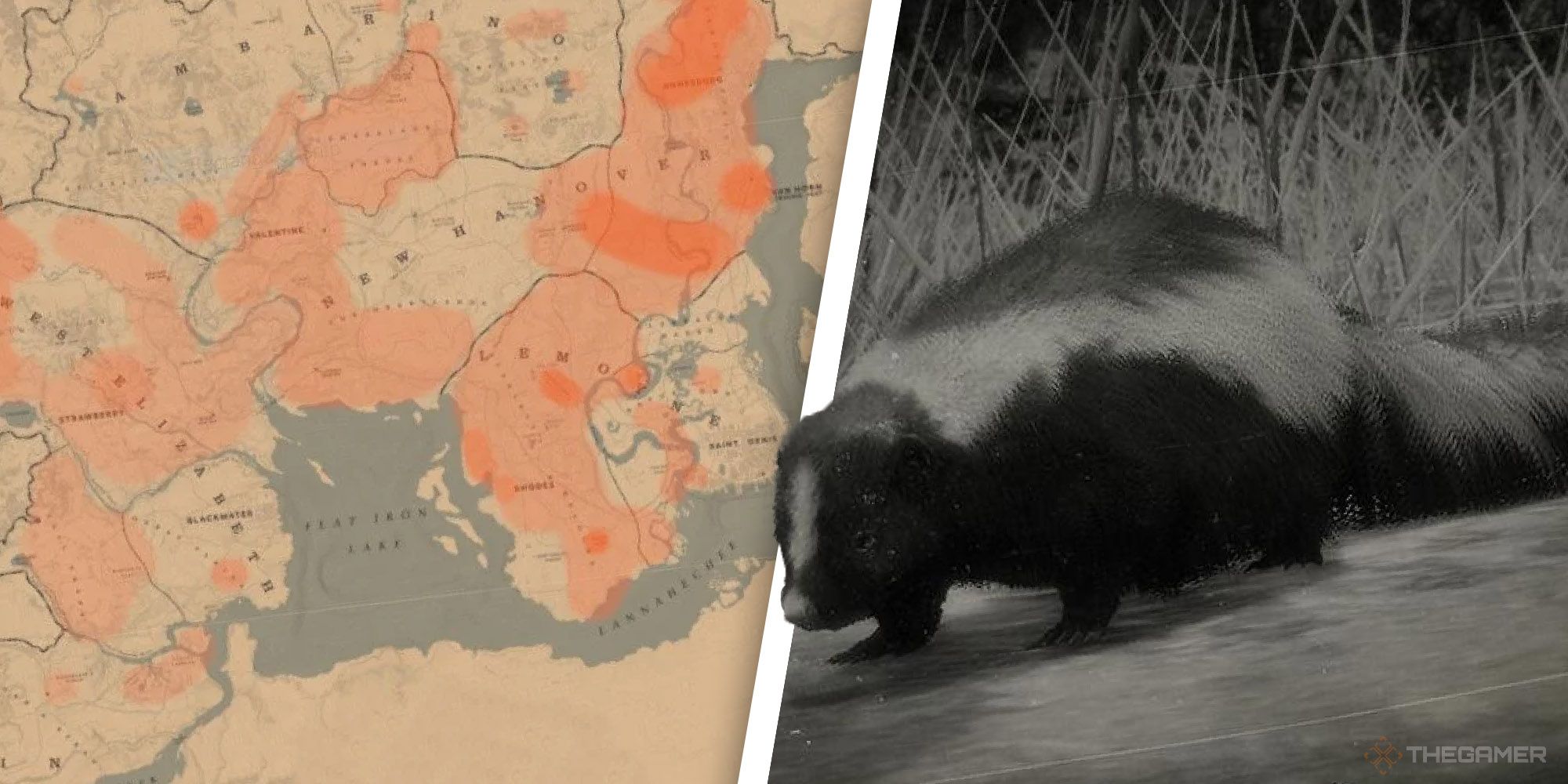 Striped Skunk Locations In RDR2