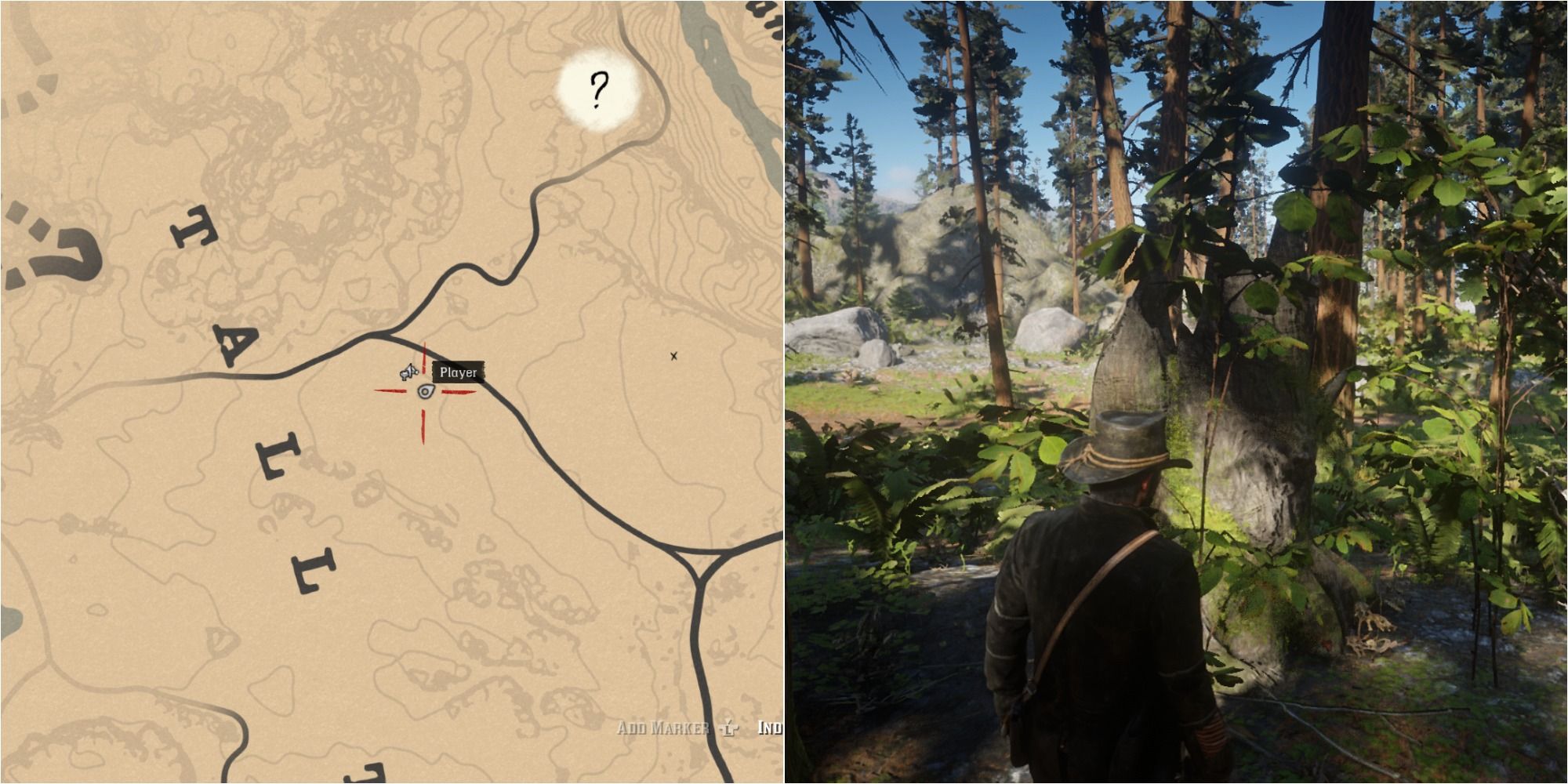 Red Dead Redemption 2 All Lady Slipper Orchid Locations