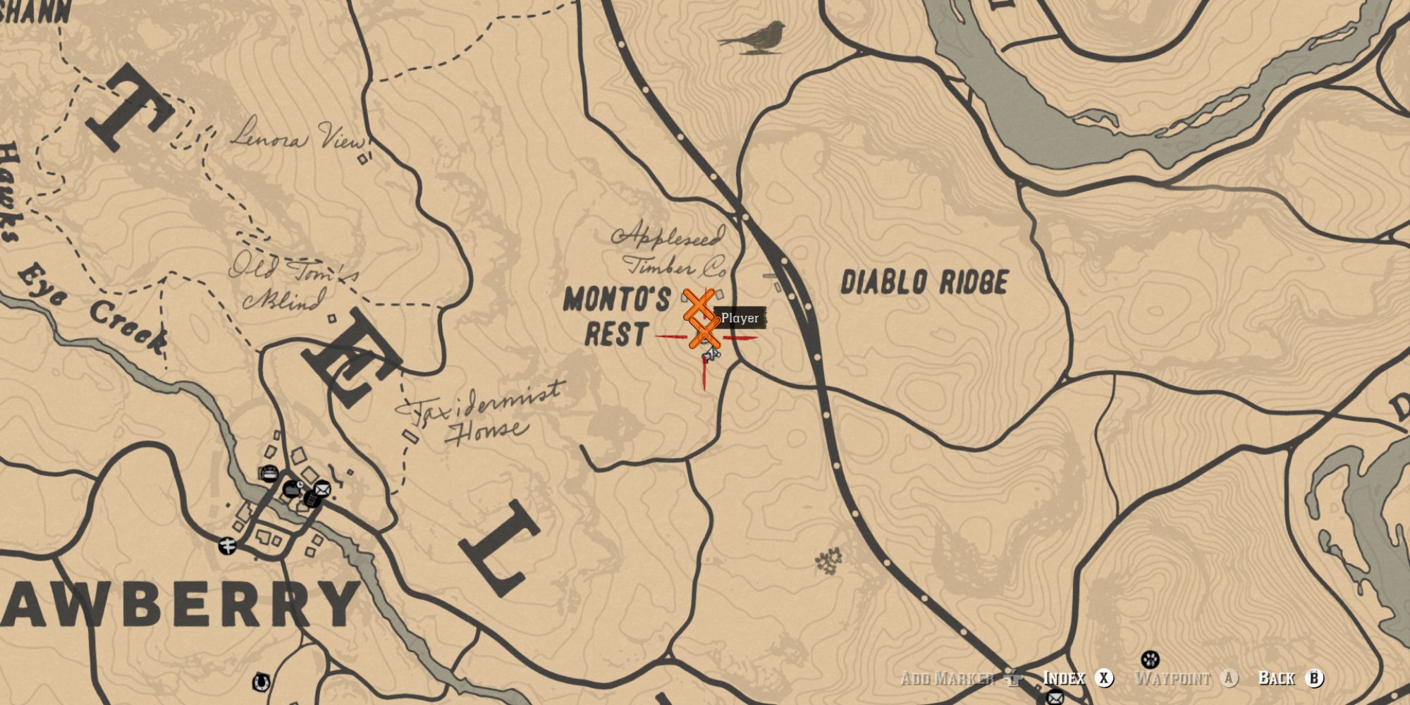 Red Dead Redemption 2: All Lady Slipper Orchid Locations