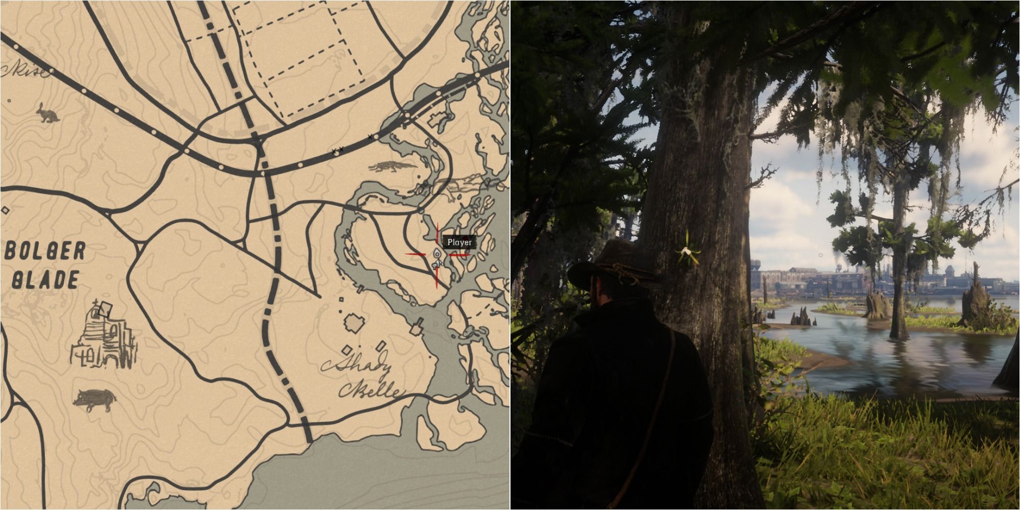 Night scented orchid rdr2