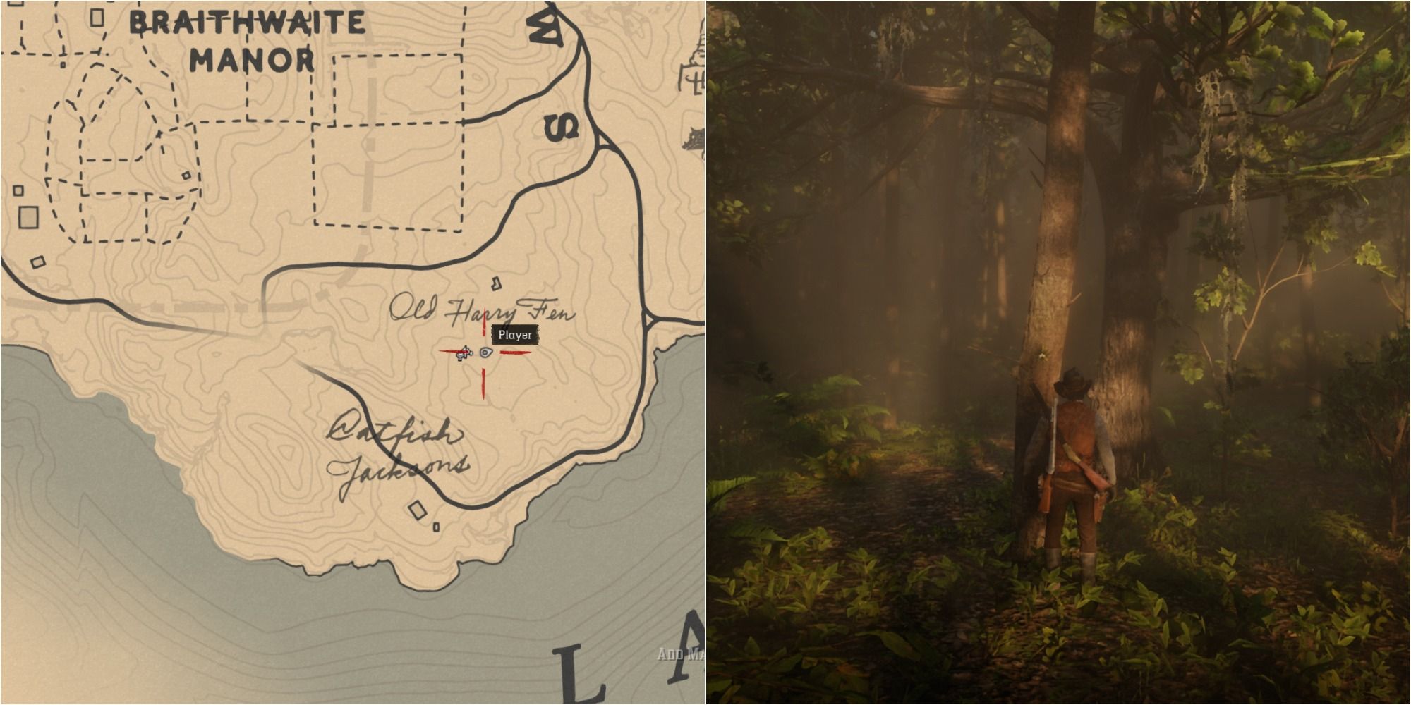 Red Dead Redemption 2 Night Scented Orchid Location Eight 