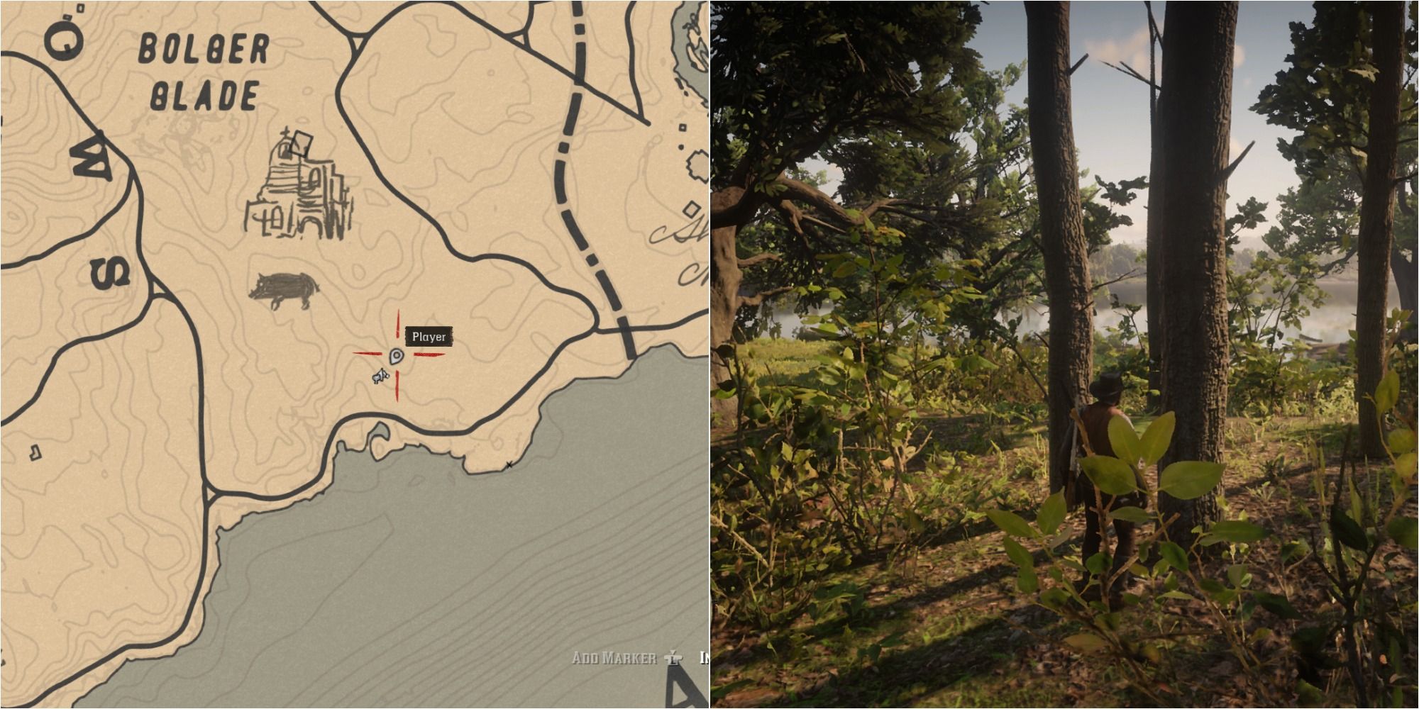 How To Find Every Night Scented Orchid In Red Dead Redemption 2