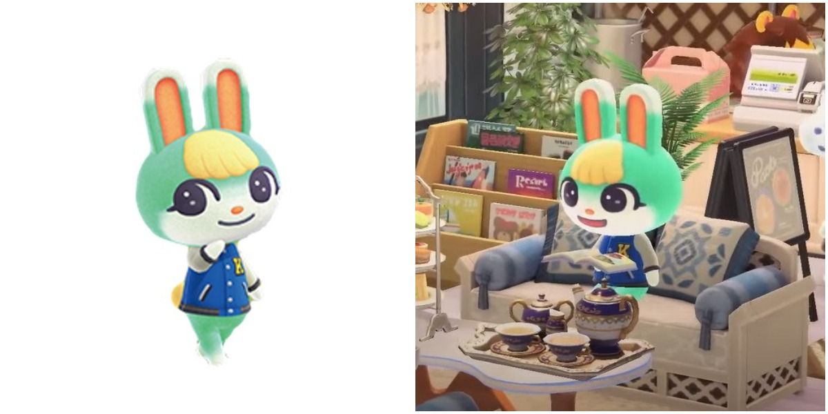 Animal Crossing New Horizons 2.0 update amiibos Sasha bunny