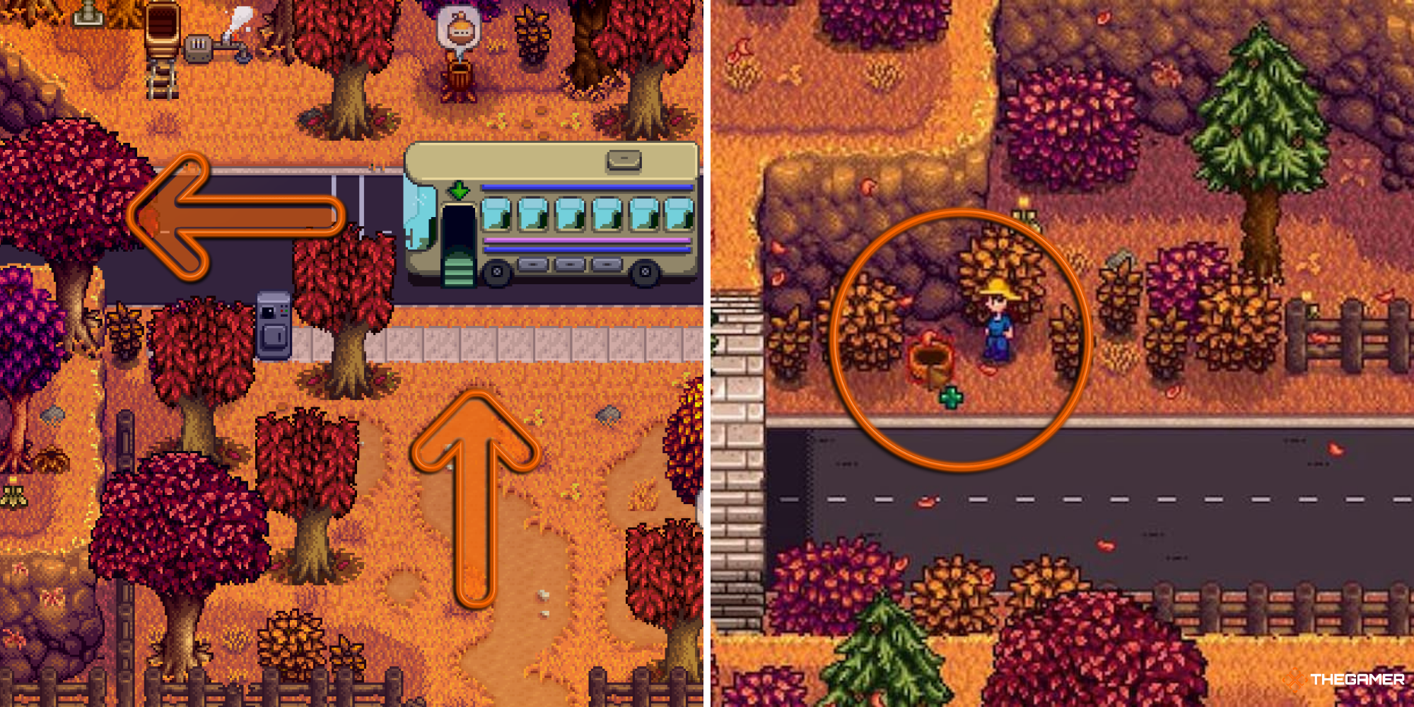Stardew Valley - Directions on how to find Linus' Blackberry Basket