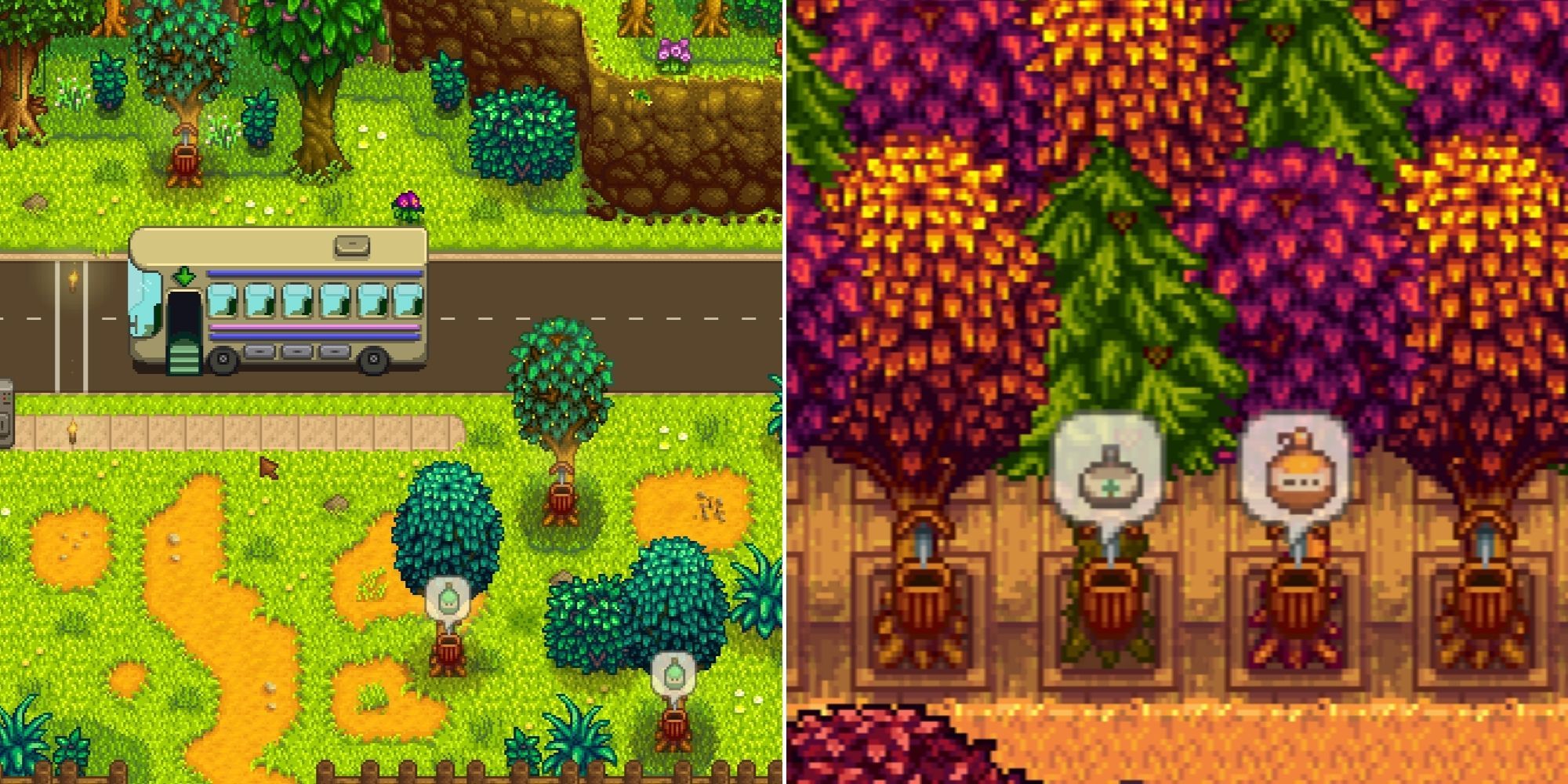 Tappers on the trees near the bus stop and a close up of the tappers ready to be harvested in Stardew Valley