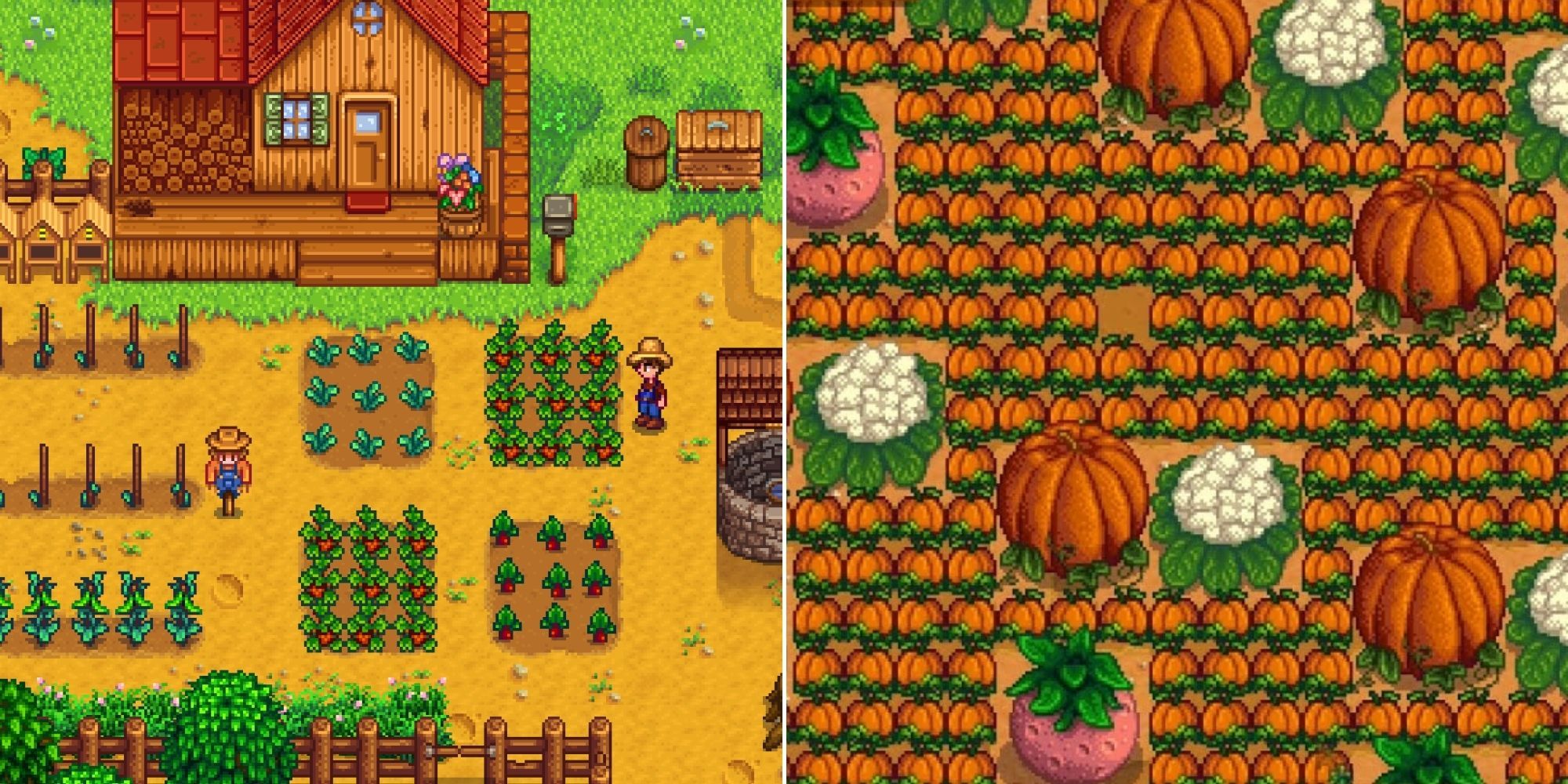 A simple farm set up and lots of giant crops in Stardew Valley