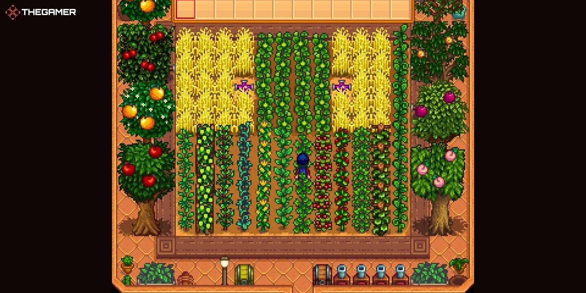 Stardew Valley: The player stands in the middle of the Greenhouse interior with a diverse range of plants