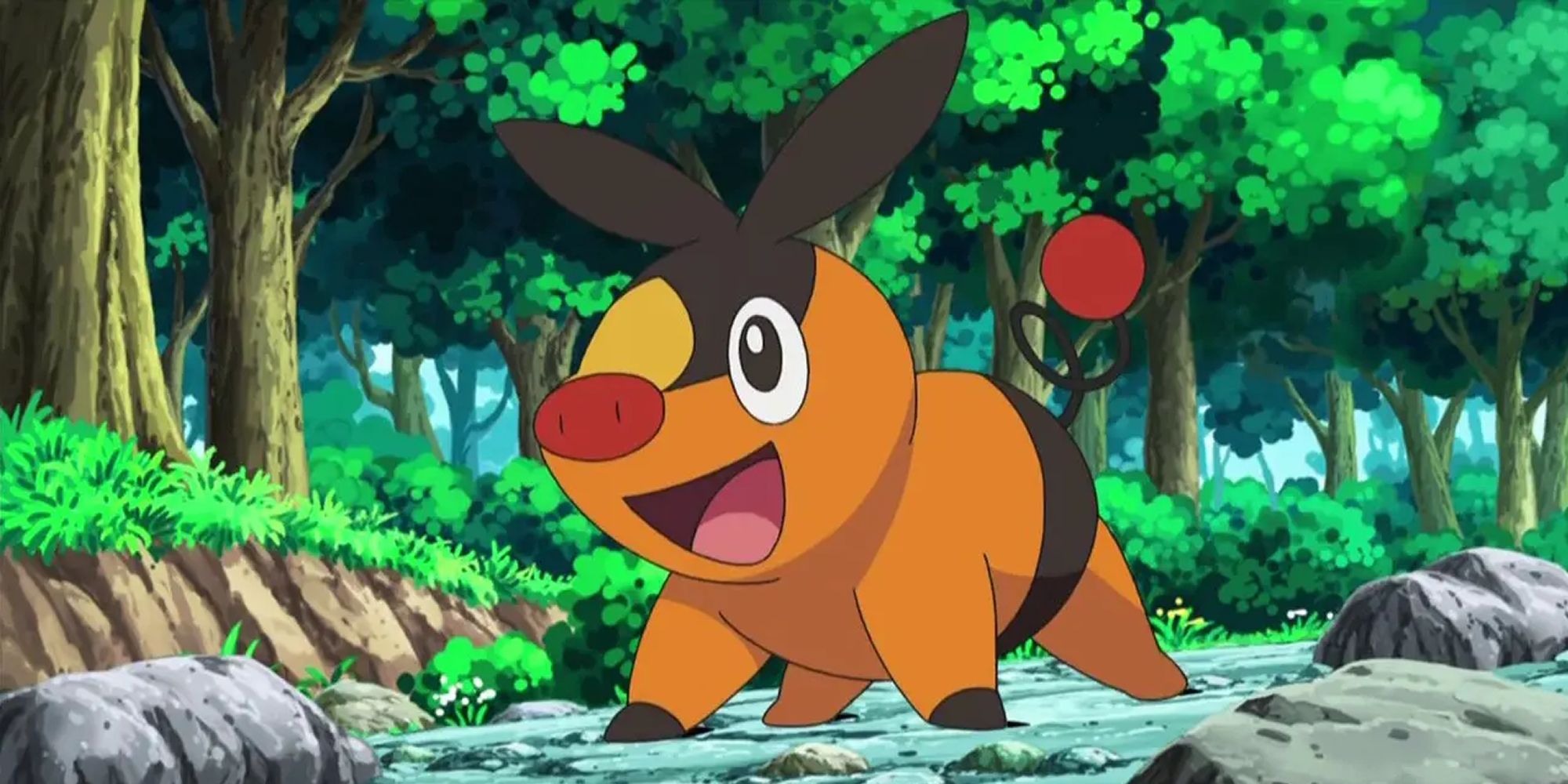 A Super Happy Tepig