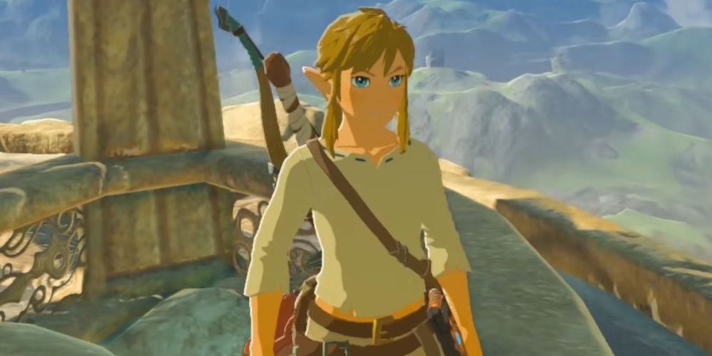 A Shot Of Link From Breath Of The Wild