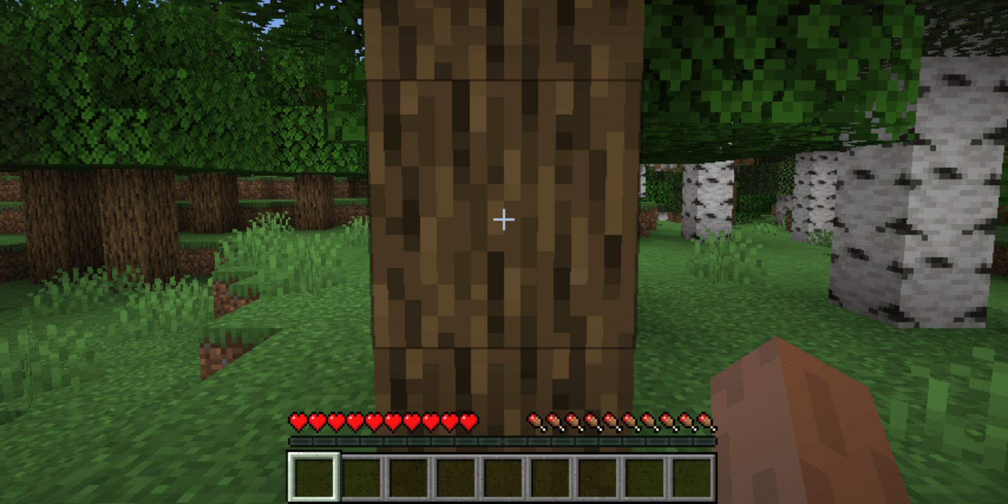 Video Game Sound Effects a first-person perspective shot in Minecraft of someone hitting a tree with grass and various other trees in the distance and the players inventory, health and hunger metres at the bottom