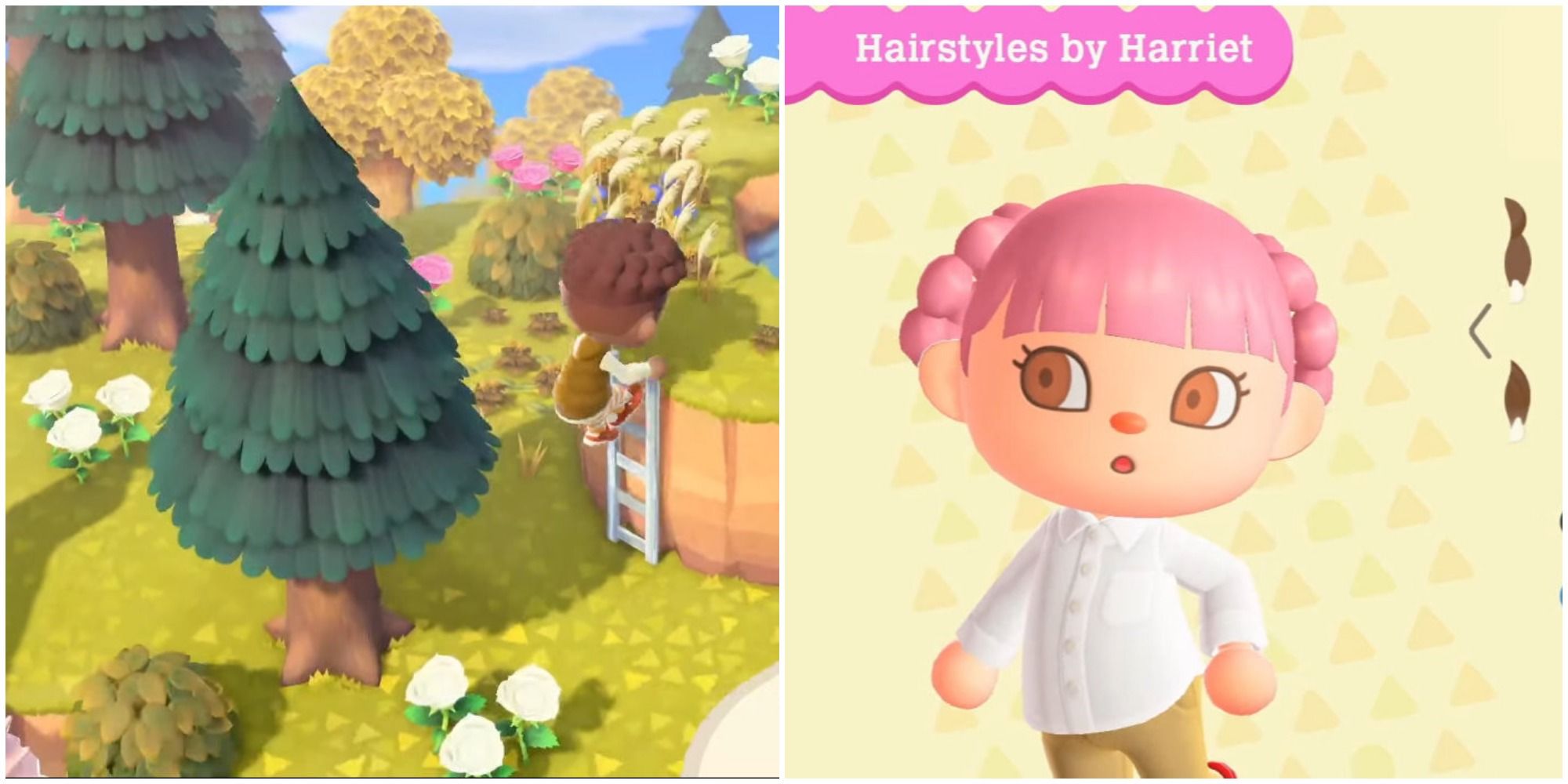 Animal Crossing: New Horizons: Everything In The Final Free Update