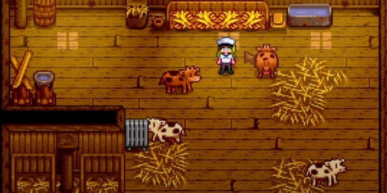 Самые прибыльные продукты животного происхождения в Stardew Valley