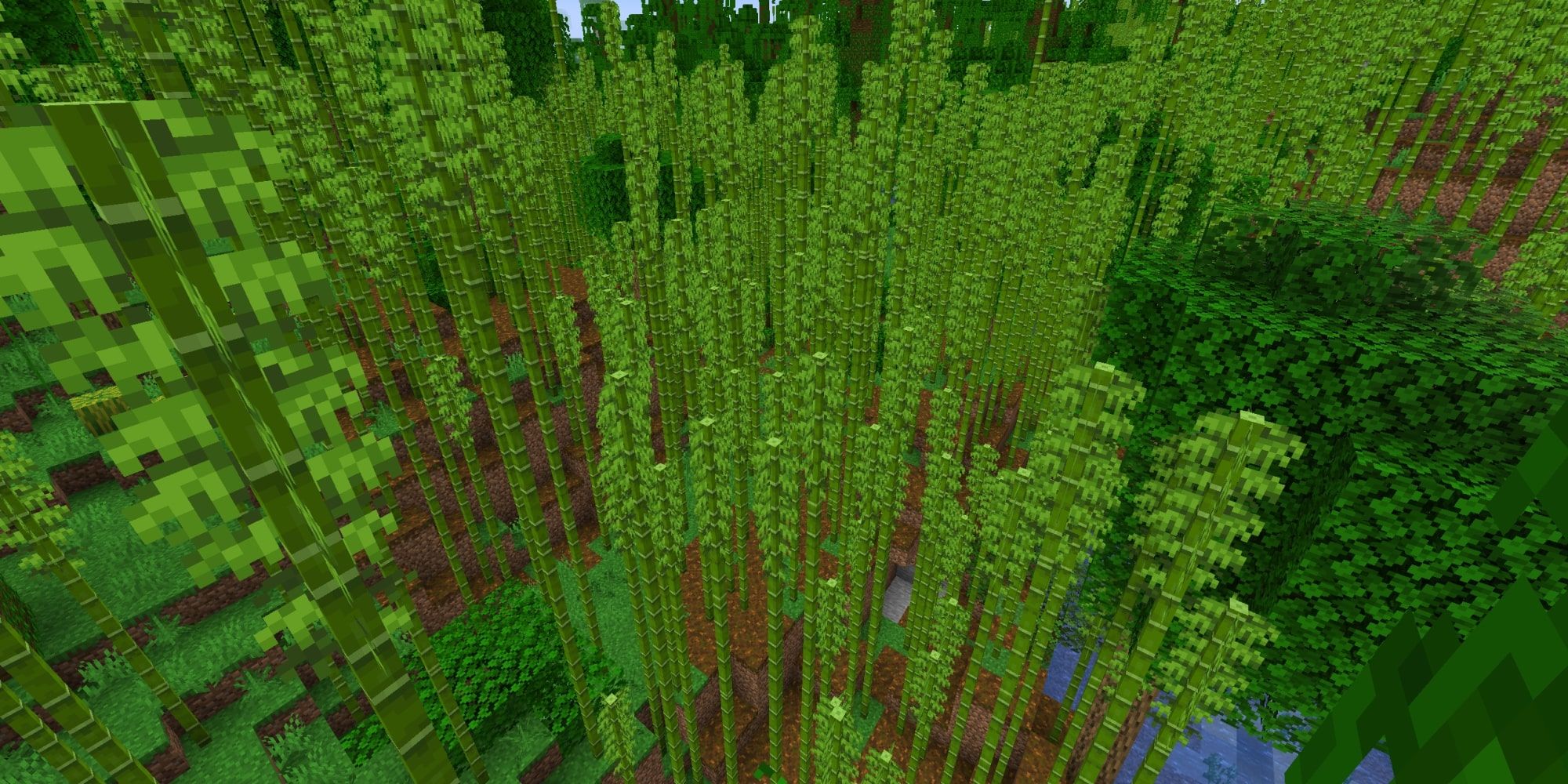 Minecraft Bamboo Jungle Biome