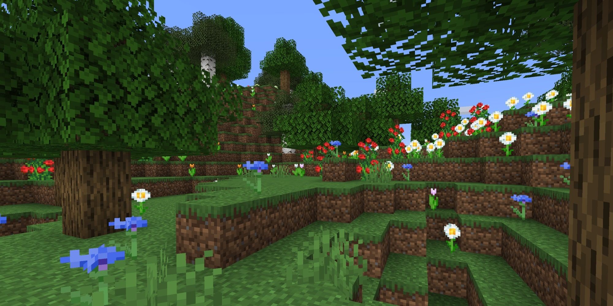 Minecraft Flower Forest Biome