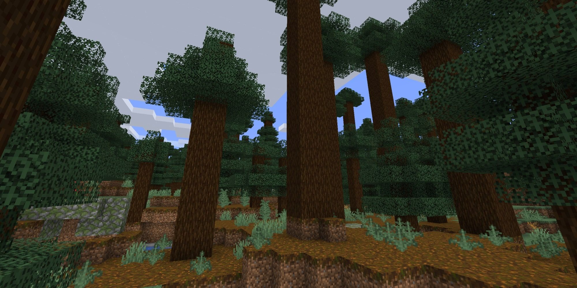 Minecraft Giant Tree Taiga Biome