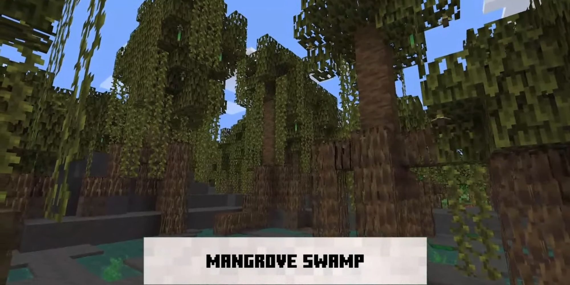 Minecraft Live 2021 The Wild Update 1.19 The Swamp Update Mangroves