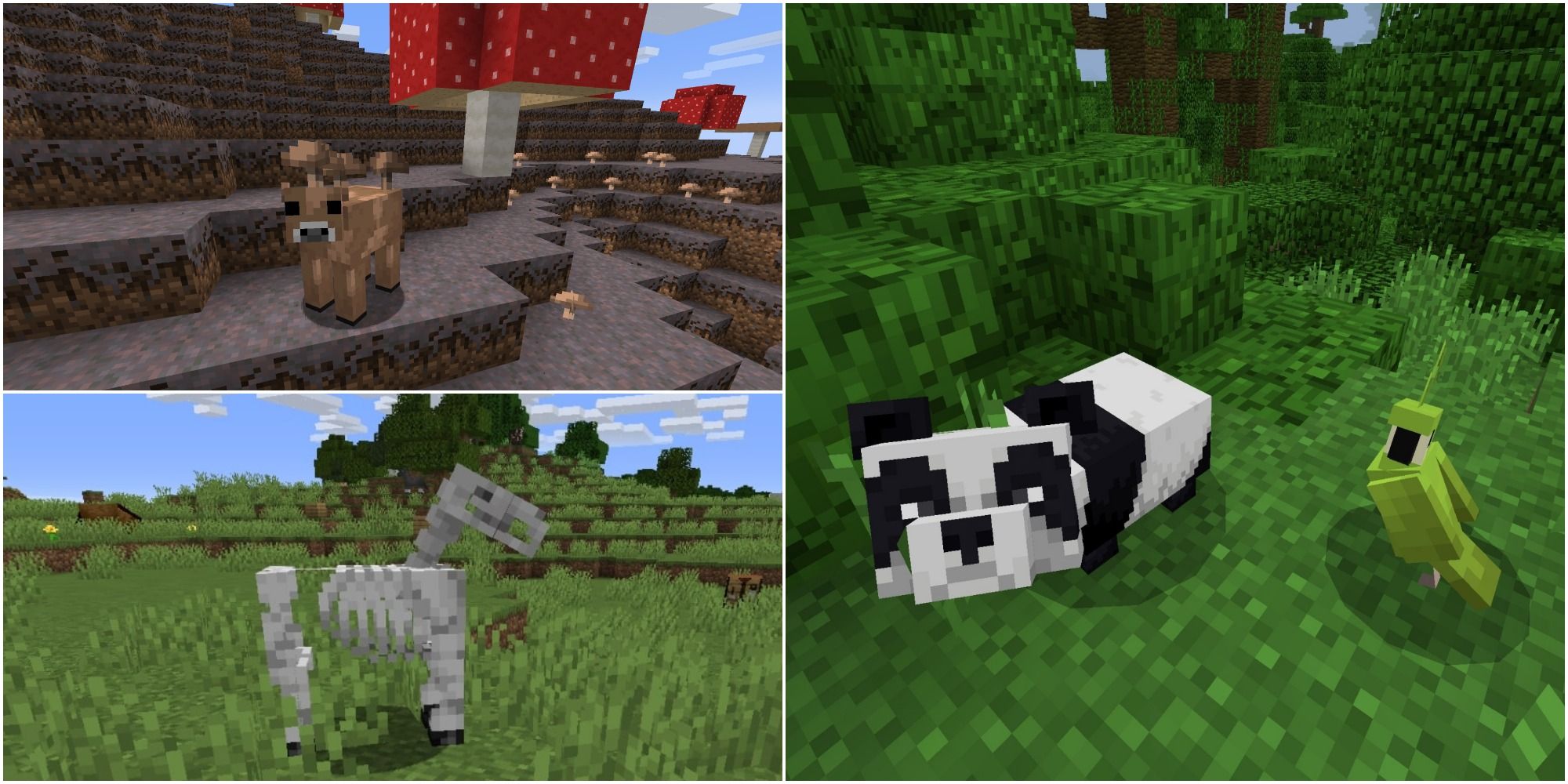 Minecraft Rarest Mobs Skeleton Horse Brown Mooshroom Baby Panda Parrot