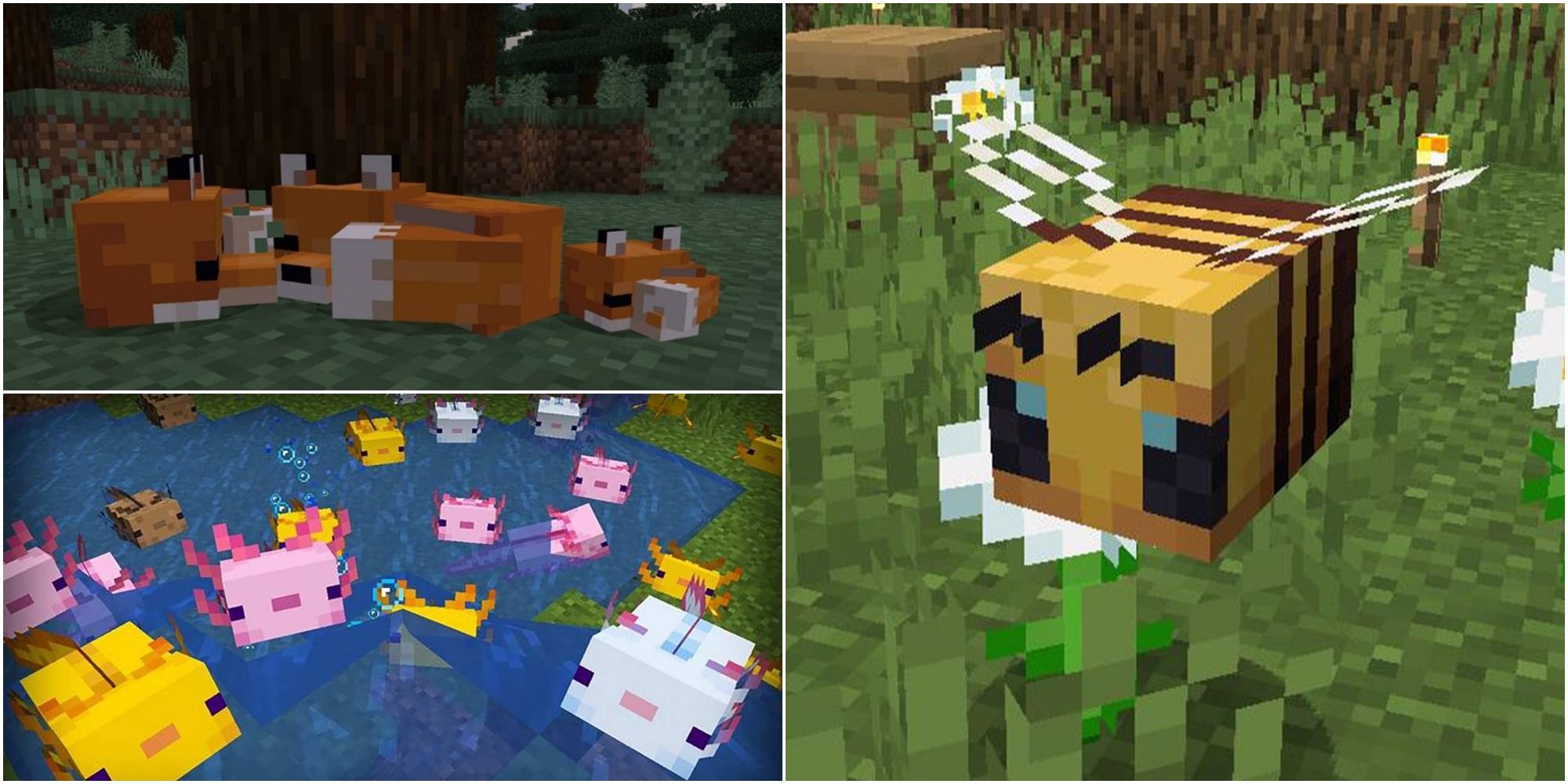 Biggest Features of Minecraft 1.19: The Wild Update