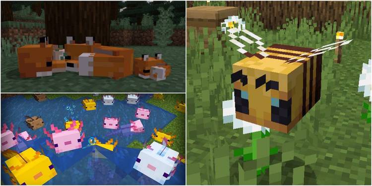 Every Major Minecraft Update Ranked Every Major Minecraft Update Ranked