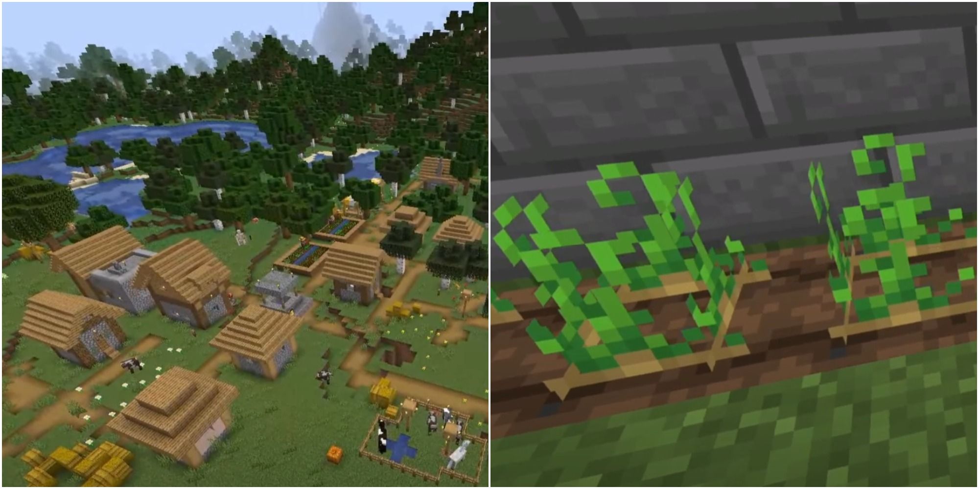 Minecraft: Every Way To Get Potatoes How To Plant Them