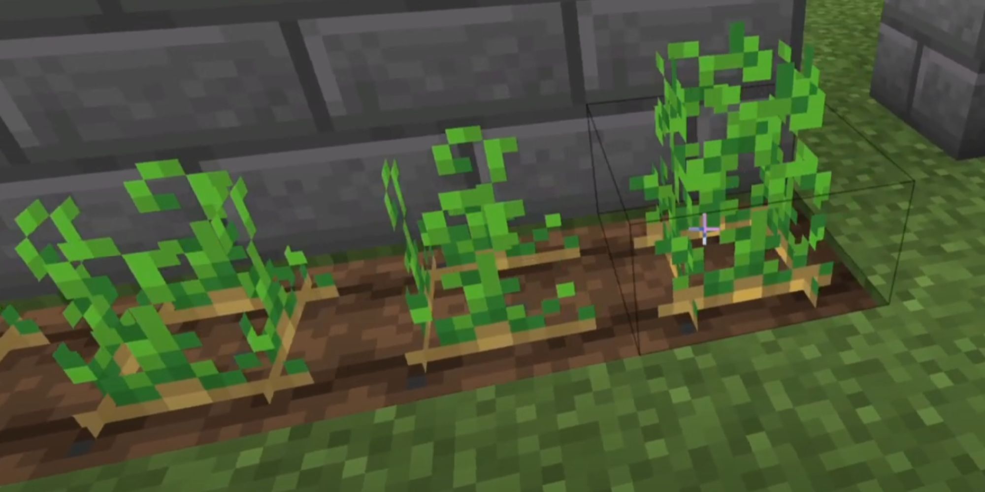 Every Way To Get Potatoes And How To Plant Them In Minecraft