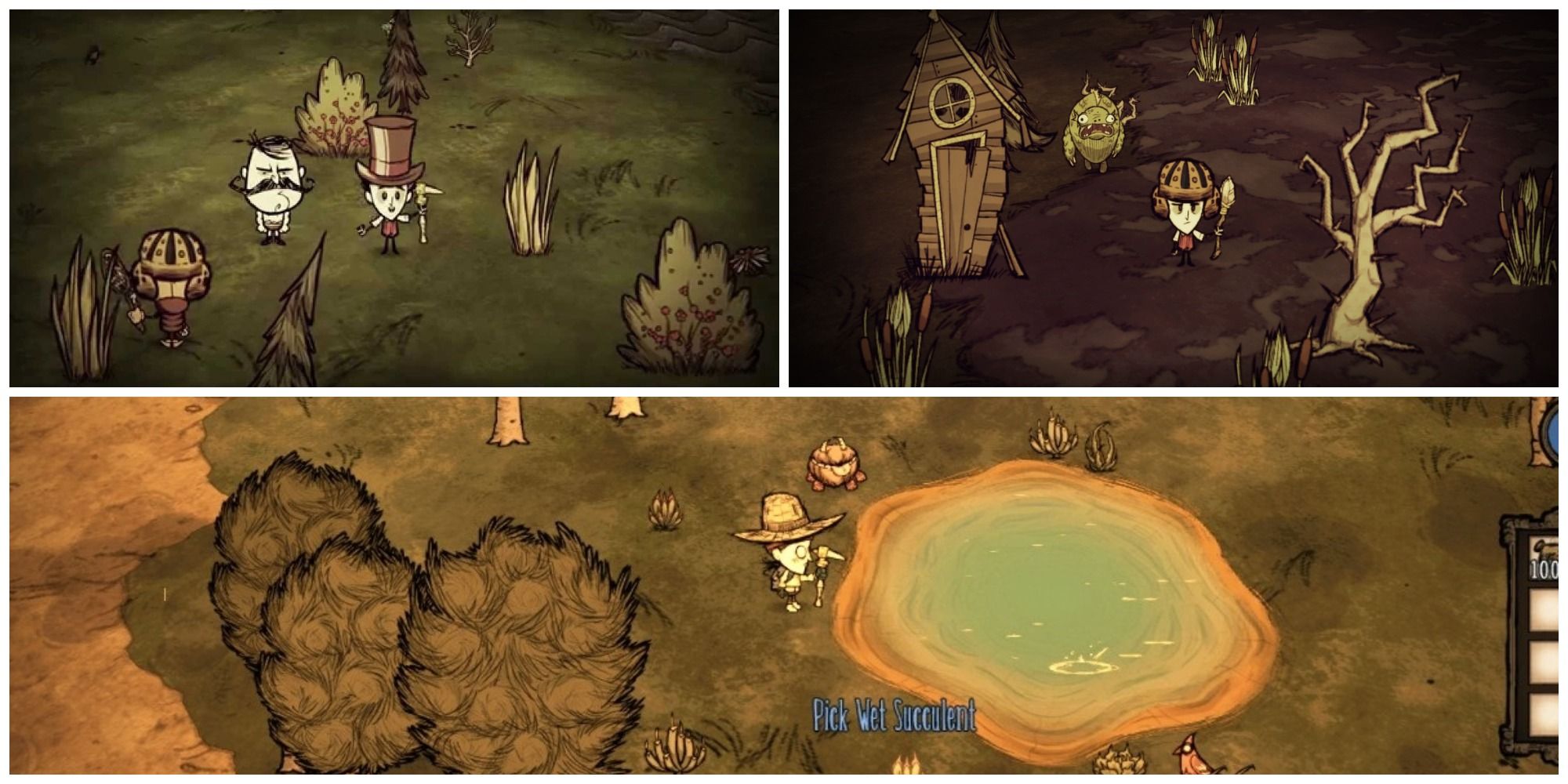 Best Biome To Build A Base In Don T Starve Together