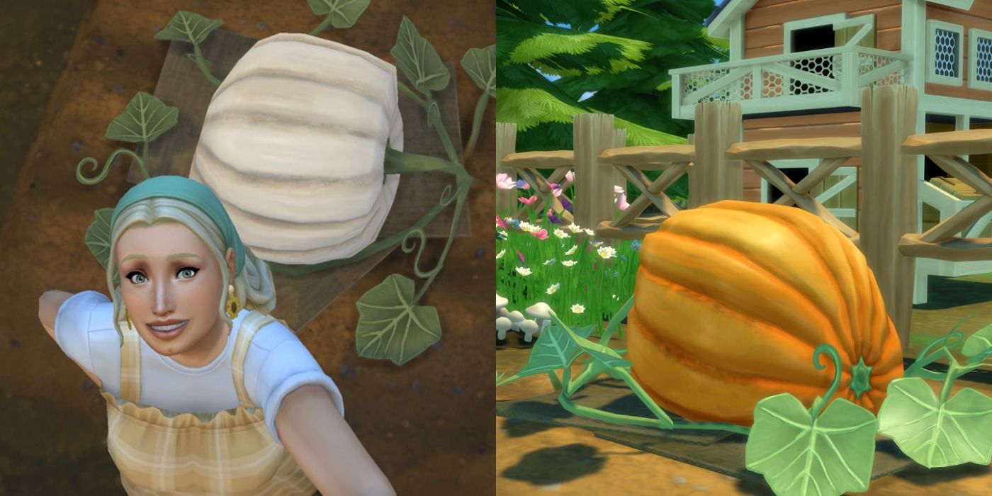 oversized crops featured pic sims 4