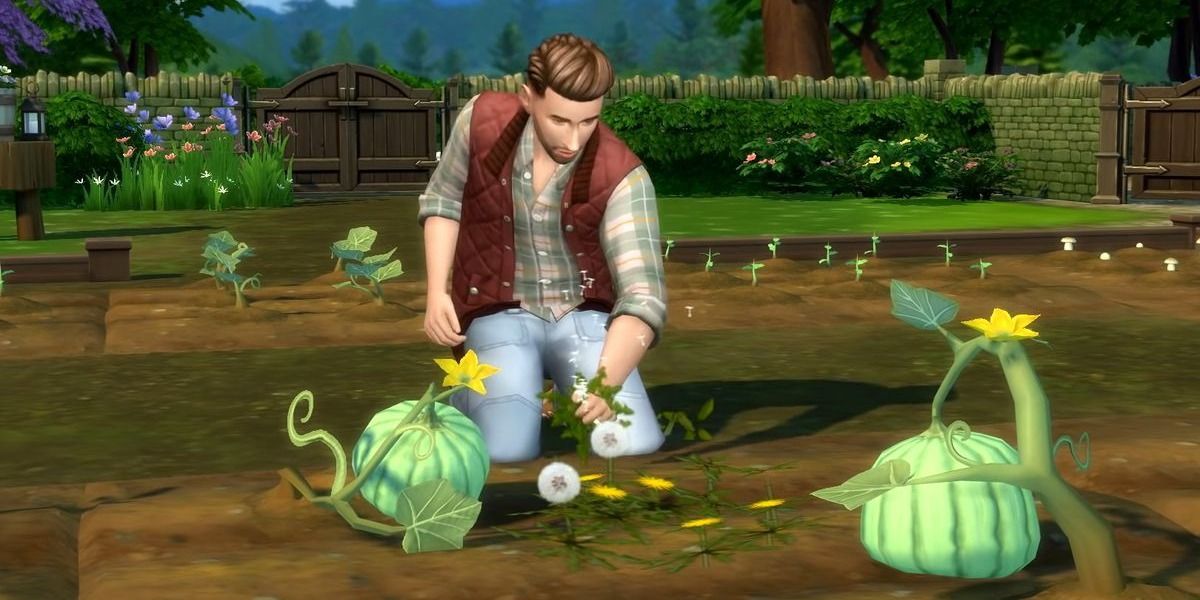 weeds in crops sims 4