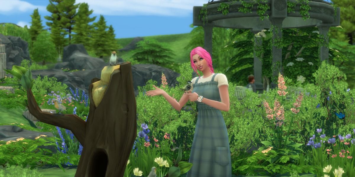 talking to birds sims 4