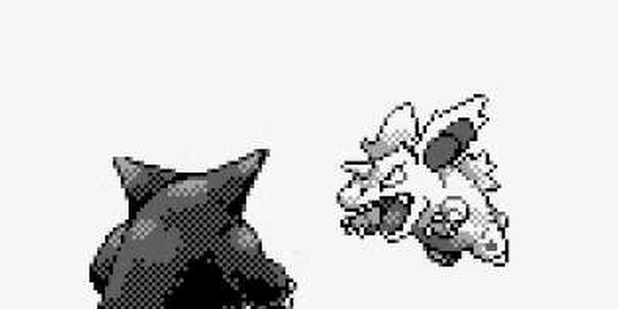 Nidorino attacking Gengar on the title screen of Pokemon Red & Blue.