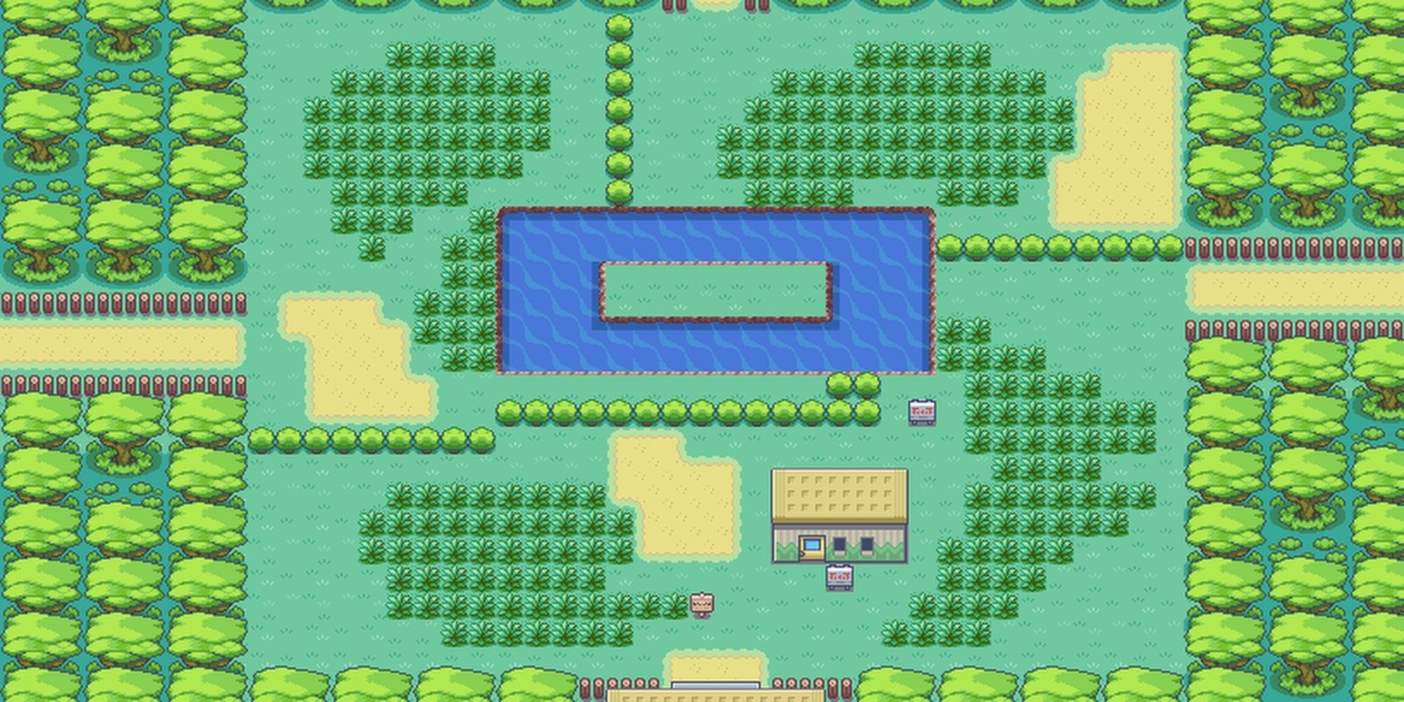 Pokemon FireRed LeafGreen Kanto Safari Zone Fucshia City 