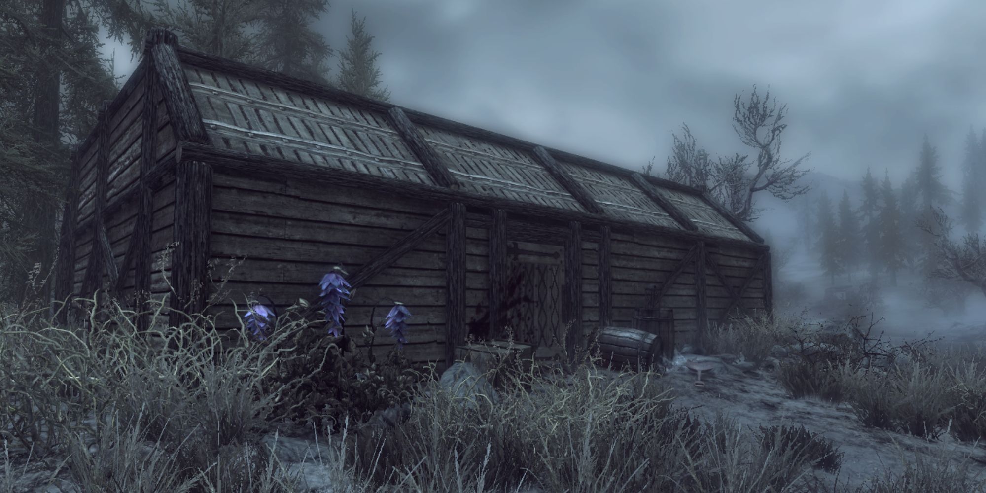 skyrim_abandoned_shack_building_in_the_swamp