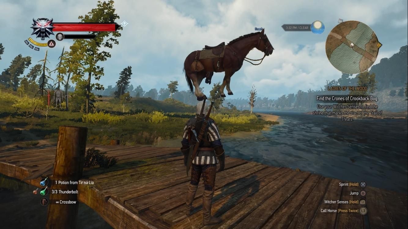 witcher 3 roach