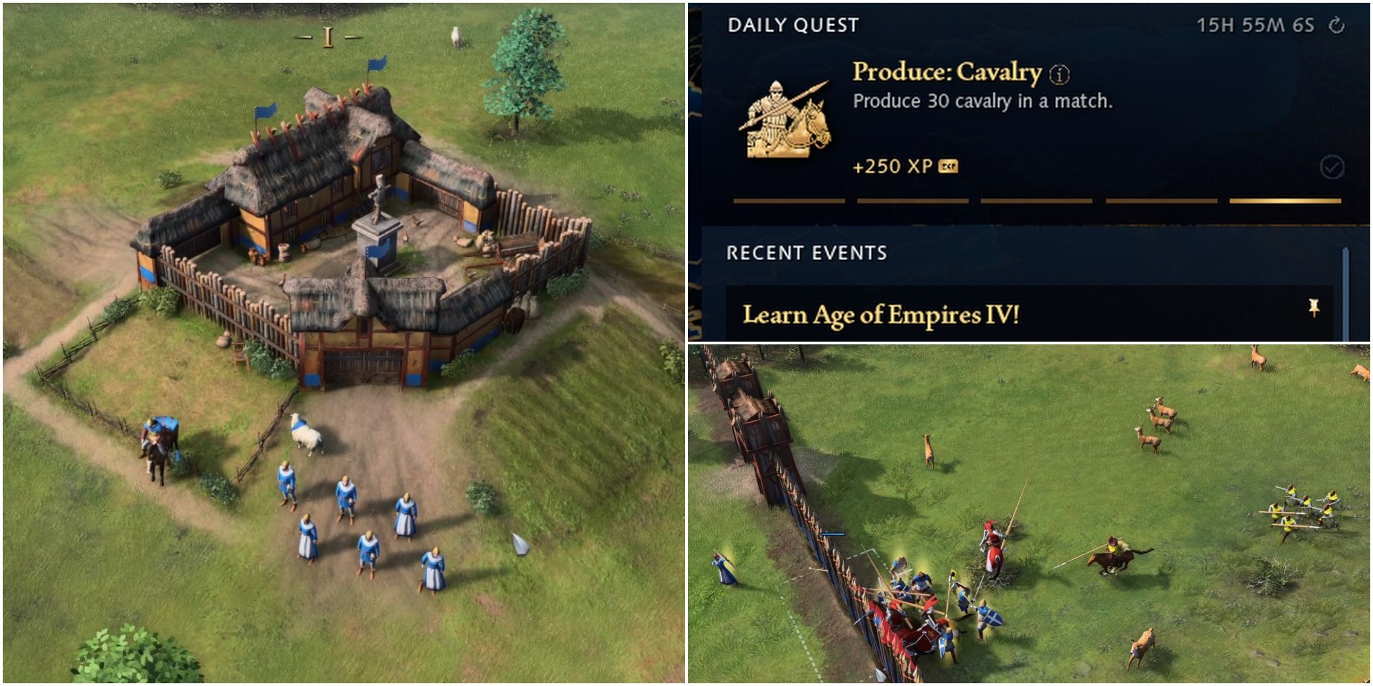 Age Of Empires IV: Town Centre, Daily Quest And Base Under Siege