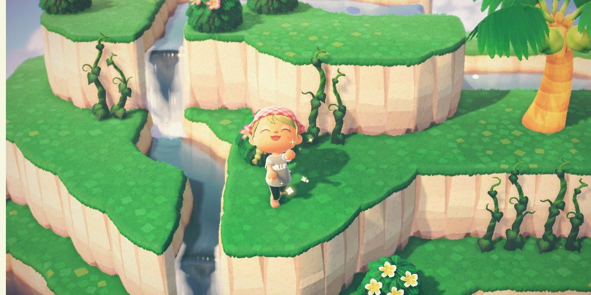 Animal Crossing New Horizons Player On Vine Island Cliff Using Ta Da Reaction