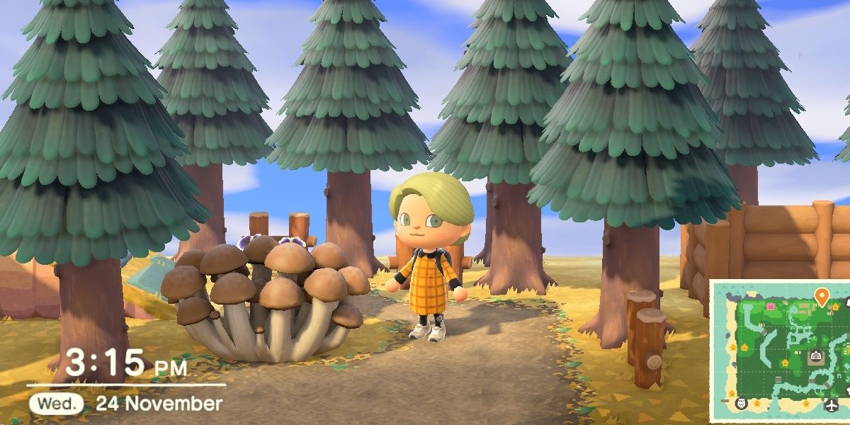 ACNH Every Kapp'n Mystery Island, Ranked